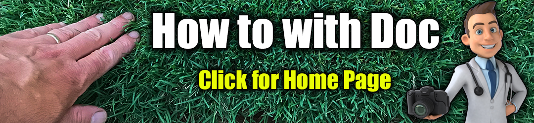 Kill Nutsedge In Lawn