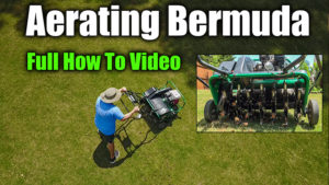 aerating lawn how to