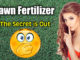 bermuda fertilizer mix