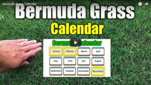 bermuda grass calendar