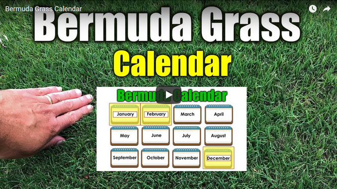Bermuda Grass Calendar