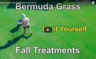 fall bermuda grass treatments
