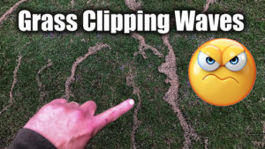 grass clipping lines