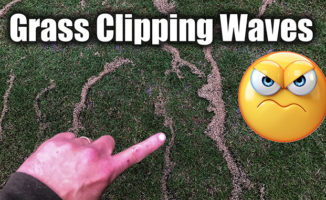 grass clipping lines