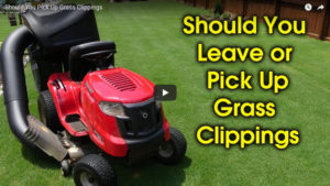 should you bag lawn clippings