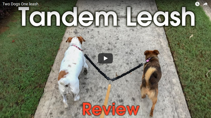 Tandem Dog Leash - Two Dogs One Leash