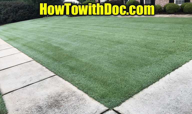 Transform Your Lawn Today The Best Fertilizer For Bermuda Grass - sfmv4c5