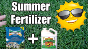 best summer fertilizer