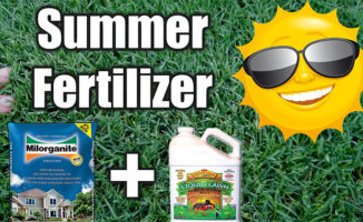 best summer fertilizer