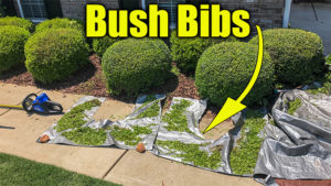 bush trimming drop cloth