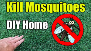 mosquito control sprays