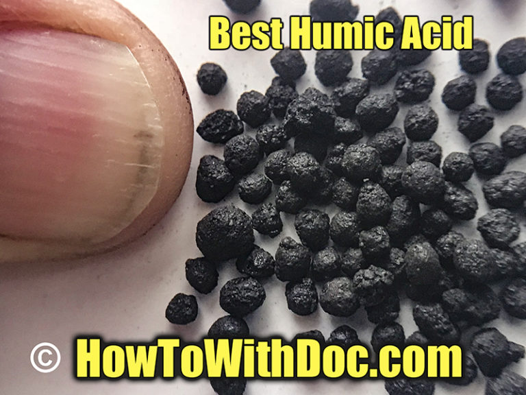 Best Humic Acid for Lawns Bermuda Grass Care