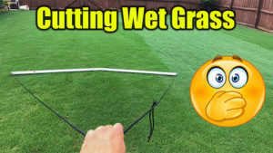 cutting wet grass