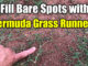 fix bare spots bermuda grass