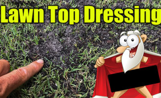 top dressing lawns