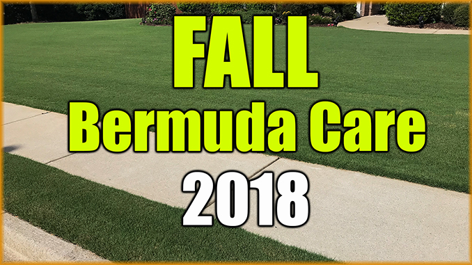 fall bermuda care