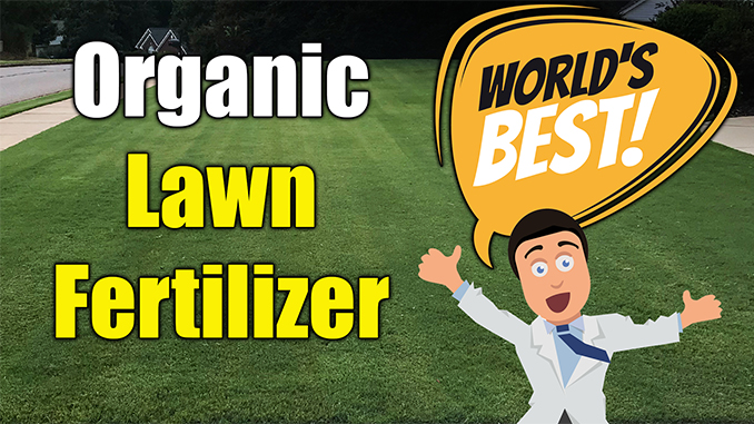 organic lawn fertilizer