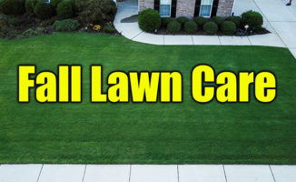 fall lawn care information