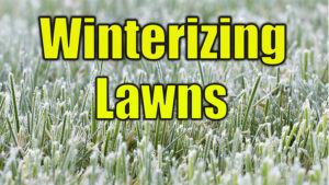 winterizing lawns