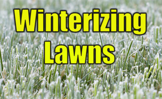 winterizing lawns