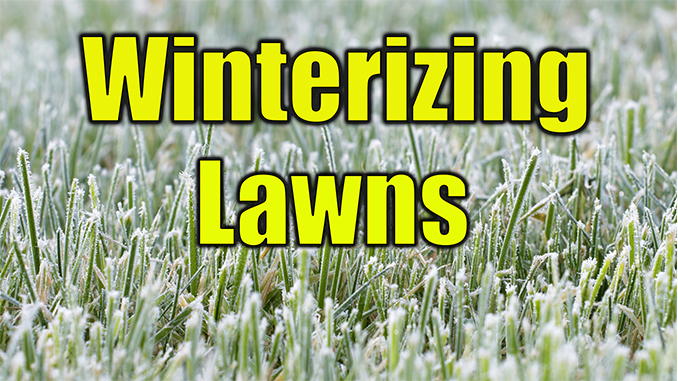 Winterizing Your Lawn Lawn Care