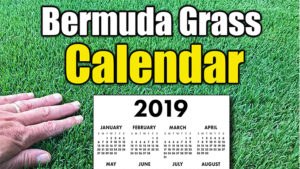 bermuda grass calendar 2019 678
