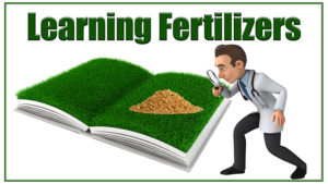 lawn fertilizer information