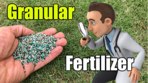 granular lawn fertilizer PGF