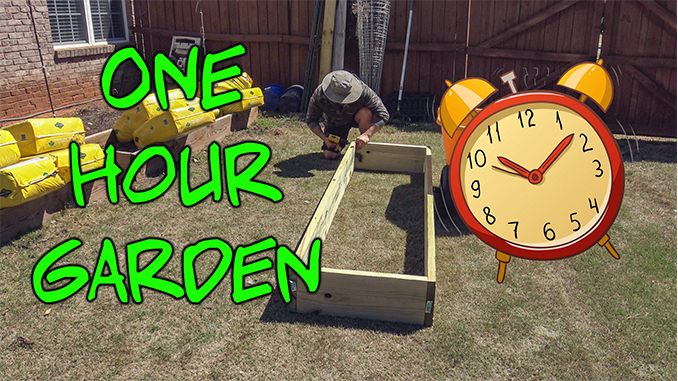 Easy Vegetable Garden Gardening