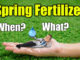 spring lawn fertilizer