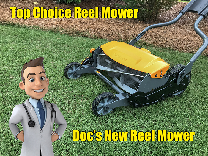 best push reel mower