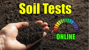 online soil test