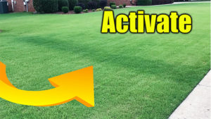fast green lawn fertilizer