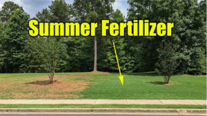 summer lawn fertilizer
