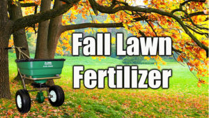 fall lawn fertilizer