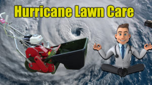 hurricane lawn care