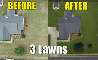 lawn renovation