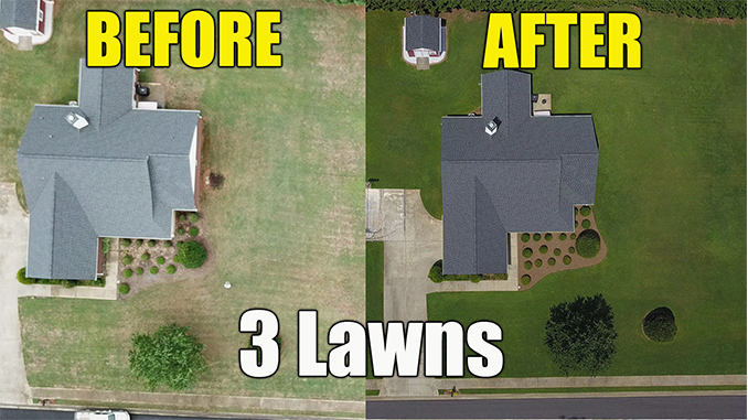 lawn renovation