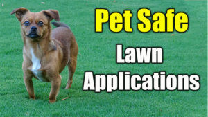 pet safe lawn products