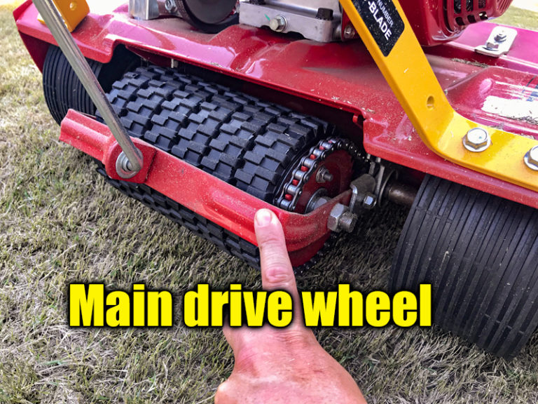 Bermuda Grass Reel Mower Lawn Care