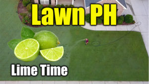 lawn soil ph