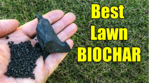 best lawn biochar