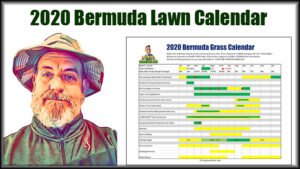 2020 bermuda grass lawn calendar