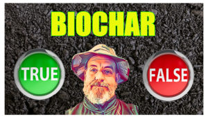 biochar myths