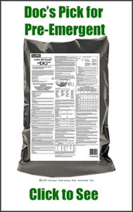 Fescue Lawn Calendar Fescue Lawn Care