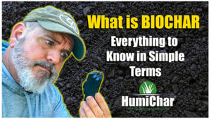 what is biochar