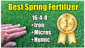 best spring lawn fertilizer