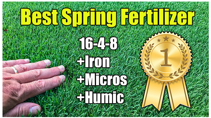 Best Spring Lawn Fertilizer Lawn Fertilizers