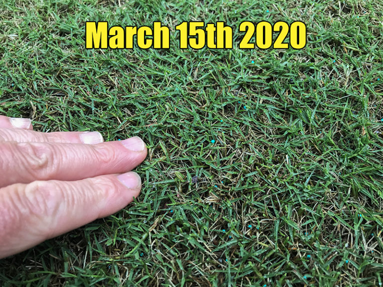 Early Spring Lawn Care Lawn Care early-spring-lawn-care-lawn-care
