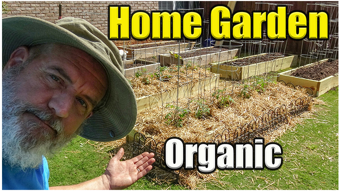 home vegetable garden organic
